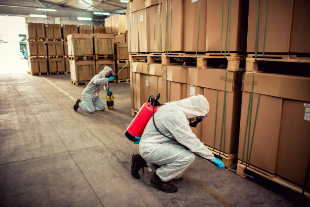 Best Emergency Pest Control  in Jacksboro, TN