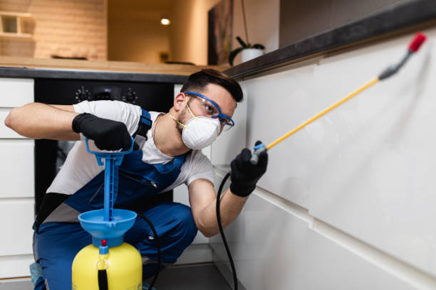 Best Pest Control Near Me  in Jacksboro, TN