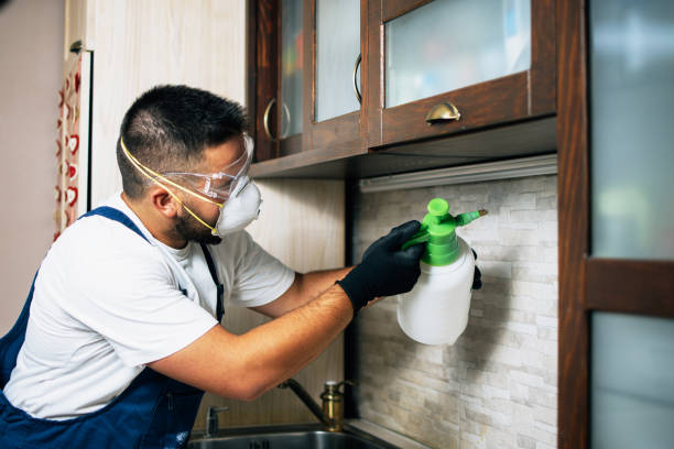 Best Ant Control Services  in Jacksboro, TN