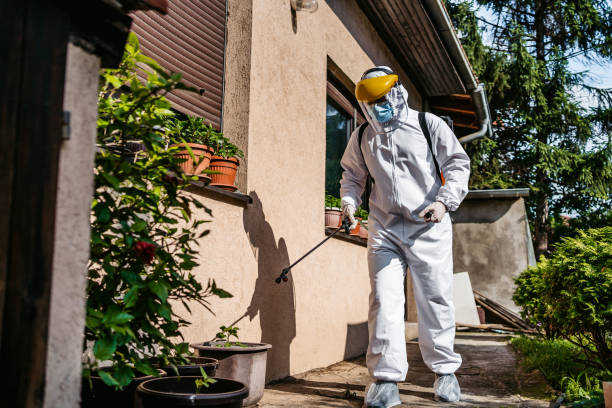 Pest Prevention Services in Jacksboro, TN