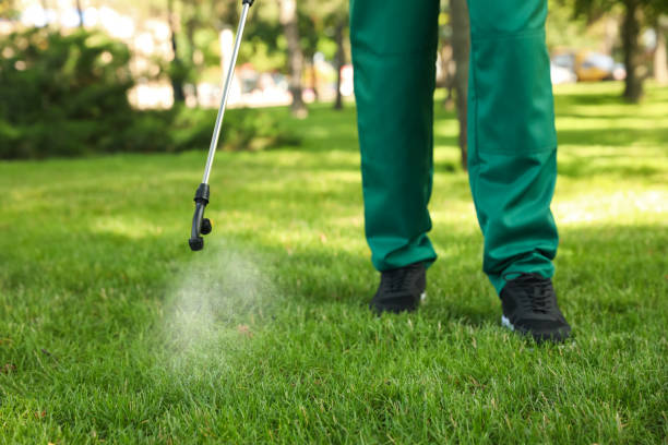 Trusted Jacksboro, TN Pest Control Experts
