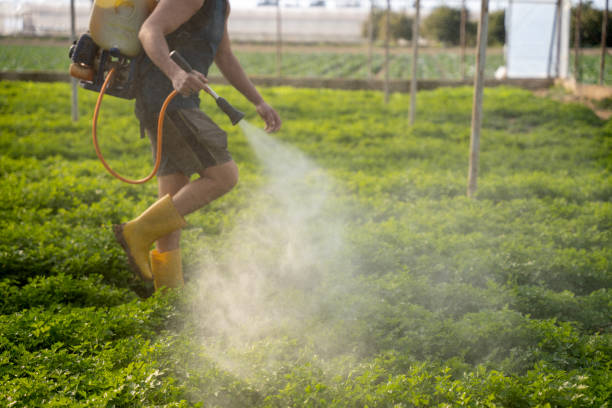 Best Mosquito Control Services  in Jacksboro, TN