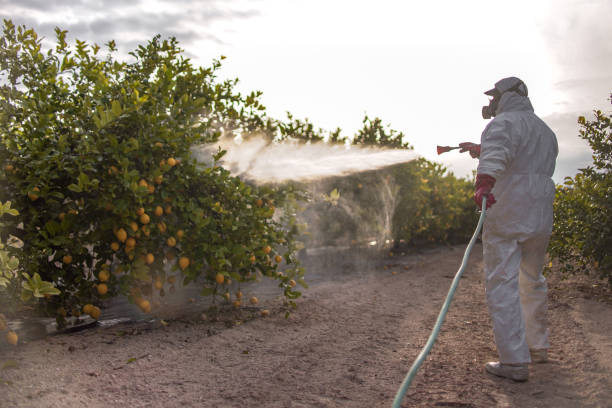 Best Pest Prevention Services  in Jacksboro, TN