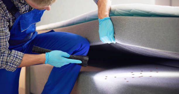 Best Wasp Removal Services  in Jacksboro, TN
