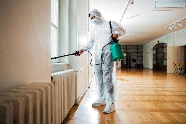Best Flea Control Services  in Jacksboro, TN